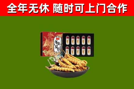 锡山回收冬虫夏草价格